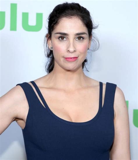 sarah silverman bikini|Sarah Silverman, 46, shows off her smoking hot bikini bod